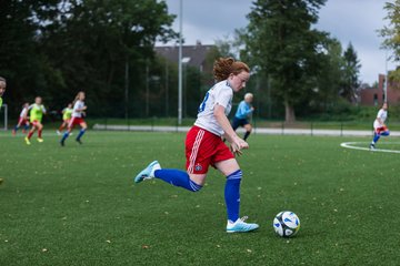 Bild 119 - C-Juniorinnen HSV - Walddoerfer : Ergebnis: 9:1